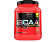 iBCAA Powder Genius Nutrition (450 грамів)