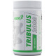Healthy Tribulus 2000мг MST (60 таблеток)