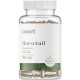 Horsetail 500мг Vegan OstroVit (90 вег капсул)
