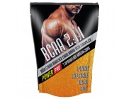 ВСАА POWER PRO 2:1:1 со вкусамы 500г