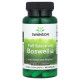 Boswellia Full Spectrum 800мг Swanson (60 капсул)