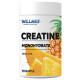 Creatine Monohydrate Willmax (500 грамм)