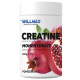 Creatine Monohydrate Willmax (500 грамм)