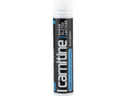 Carnitine Liquid 3000мг Progress Nutrition (25 мл)