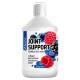 Joint Support Sporter (500 мл)