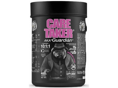 Caretaker BCAA Zoomad Labs (480 грамів)