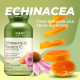 Echinacea & vitamin C GNC (60 капсул)