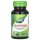 Chlorofresh Chlorophyll 100мг Nature's Way (90 капсул)
