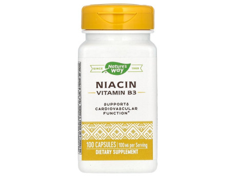 Niacin Vitamin B3 100мг Nature's Way (100 капсул)