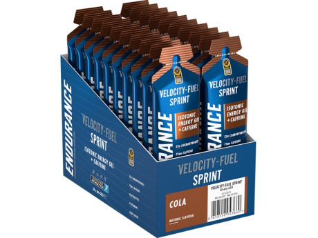 GEL ENDURANCE SPRINT Applied (20шт по 60г)