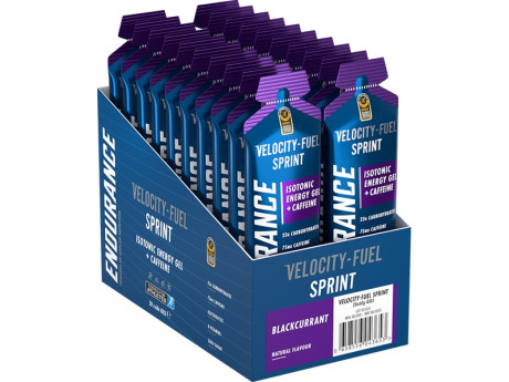GEL ENDURANCE SPRINT Applied (20шт по 60г)