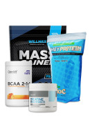 Комплекс № 2. Для набора массы классический 