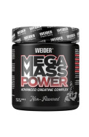 Mega Mass Power Weider (300 грамів)