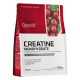 OstroVit CREATINE 500г