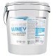 100% PURE WHEY BioTech USA