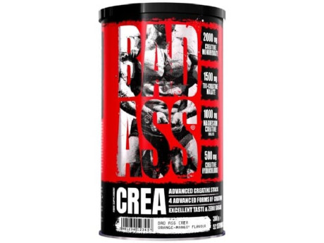 BAD ASS Crea Fitness Authority (300 грамм)