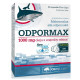 Odpormax Olimp (60 капсул)
