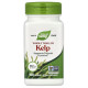 Kelp Nature's Way (100 вег капсул)