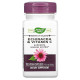 Echinacea & Vitamin C Nature's Way (100 вег капсул)