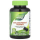 Chlorophyll Gummy Nature's Way (60 таблеток)