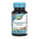 Ashwagandha Nature's Way (60 вег капсул)