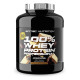 100 % Whey Protein Professional Scitec Nutrition 2350г