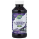 Sambucus Original Syrup 4 oz Nature's Way 120 мл
