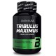 Tribulus Maximus BioTech USA