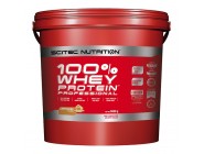 100% Whey Protein PROF 920г