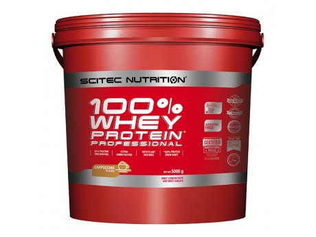 100% Whey Protein PROF 920г