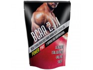 ВСАА 2:1:1 POWER PRO (500 грамм)