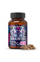 Стимулятор Braintus Focus Ostrovit (90 капсул)