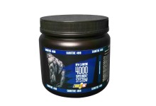 CARNITINE 4000 вкус лимон 500г