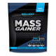 Mass Gainer WillMax 2кг