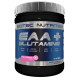 EAA + Glutamine Scitec Nutrition (300 грамм)