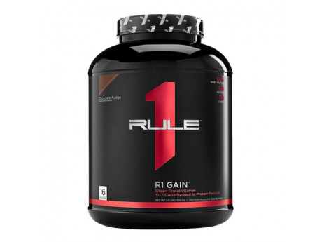 Гейнер GAIN R1 Rule One 2.32кг