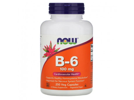 Vitamin B-6 100 mg (250 вег капсул)