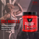 Cell Mass 2.0 BSN (500 грамм)