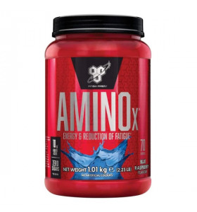 AMINO X BSN 1.01кг