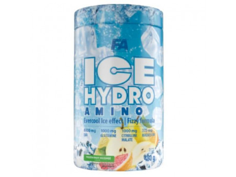 Ice Hydro Amino Fitness Authority (480 грамм)