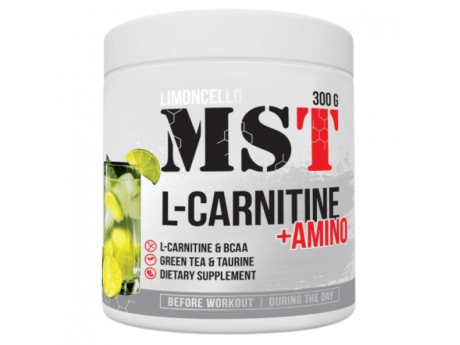 L-Carnitine Amino MST (300 грамм)