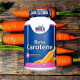 Natural Beta Carotene 20,000 IU Haya Labs (100 таблеток)