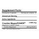 Creatine MagnaPOWER Amix (120 капсул)