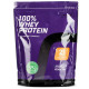 100% Whey Protein Progress Nutrition (460 грамів)