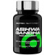 Ashwagandha Scitec Nutrition (60 капсул)