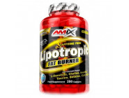 Lipotropic Fat Burner Amix (100 капсул)