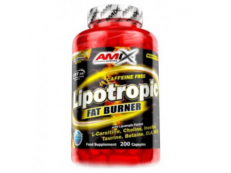 Lipotropic Fat Burner Amix (100 капсул)