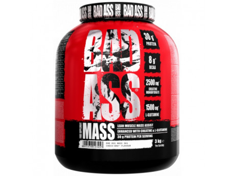 BAD ASS Mass 3кг