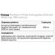 Astragalus Extract 250 мг Puritan's Pride (100 капсул)