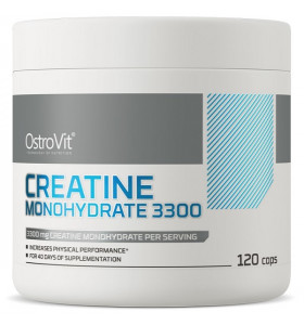 Creatine Monohydrate OstroVit (120 капсул)
